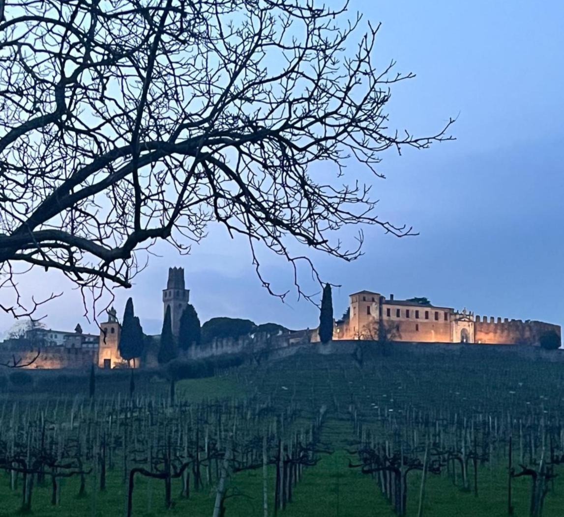 I Sassi Della Piave Villa Susegana Dış mekan fotoğraf